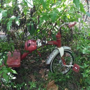 Meet your Posher, Ron